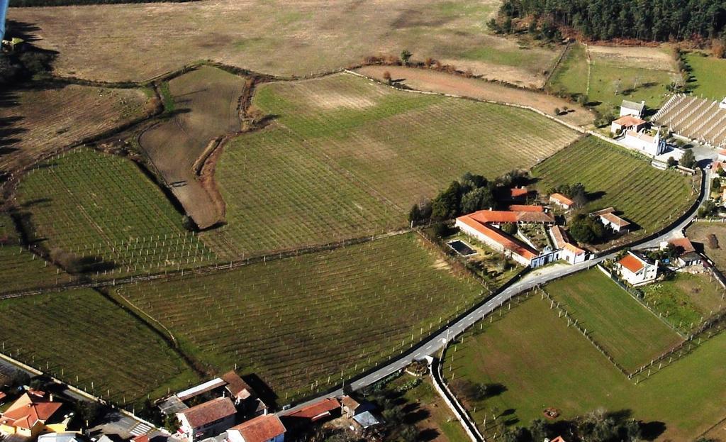 Quinta De Santa Baia Pension Gaifar Buitenkant foto